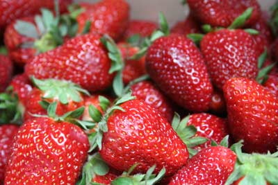 strawberries4-yogurt.jpg