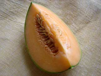 melonblog.jpg