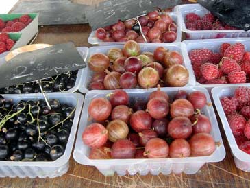 gooseberries.jpg