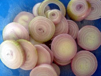 onionslices.jpg