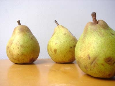 Large Bosc Pear - Each, Large/ 1 Count - City Market