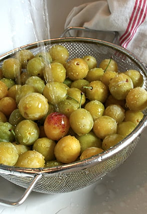 washing-mirabelles.jpg