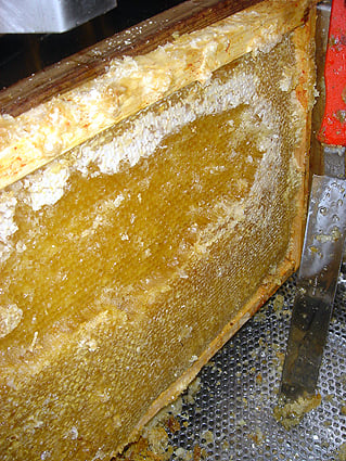 honeycomb.jpg