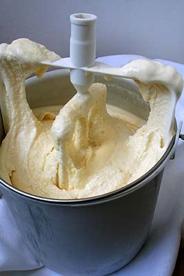 galegand2.jpg