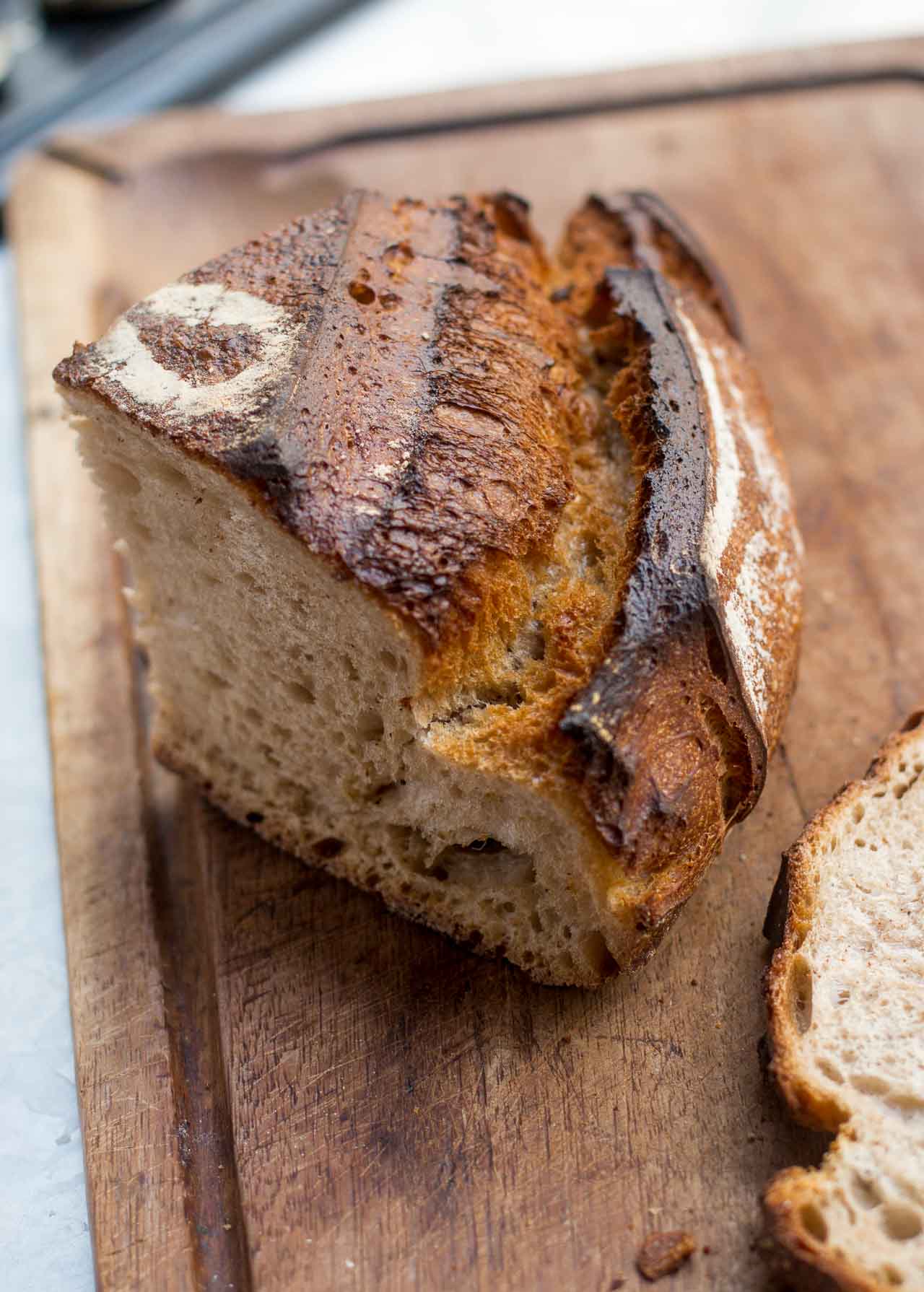 Panzanella Tomato, Bread and Basil Salad recipe