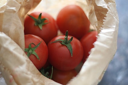 campari tomatoes