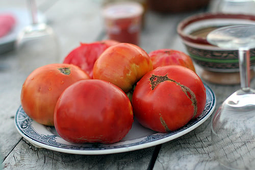 tomato plate