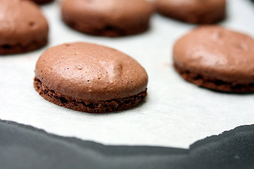 french chocolate macaron