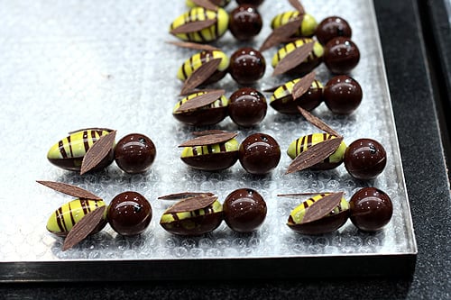 chocolate bees