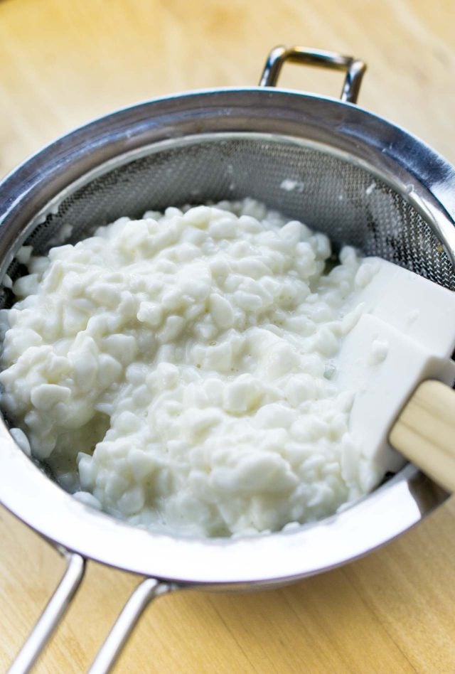 Homemade Cottage Cheese