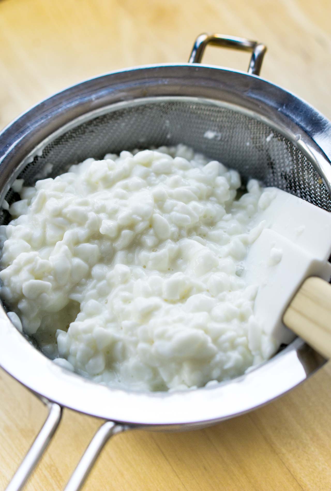 Homemade cottage cheese