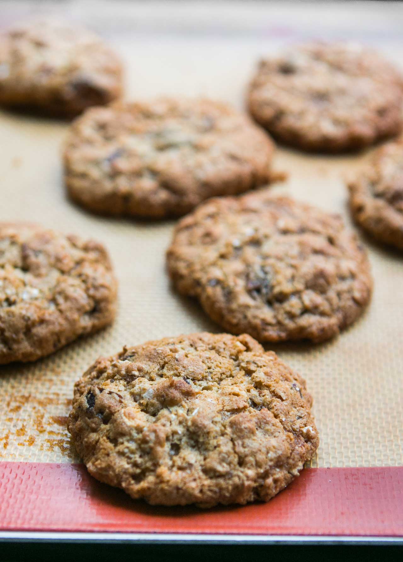 Chewy Oatmeal Raisin Cookie Recipe