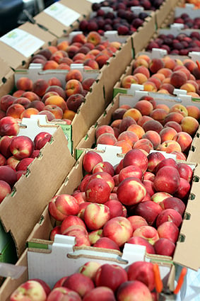 Earth Fare: FREE Bag Organic Honeycrisp Apples - Deal Seeking Mom