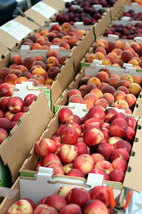 Sweet to Tart, Buttery to Crisp: A Farmers Market Guide to Pears : Foodwise