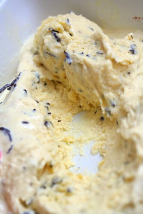 Vanilla Stracciatella Ice Cream