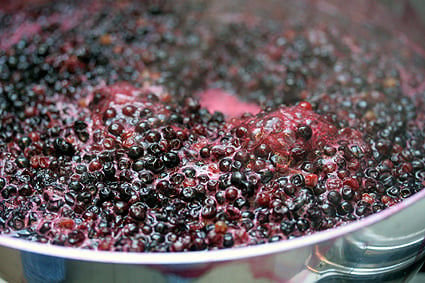 Cooking Elderberries