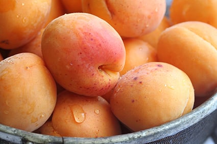 Apricots