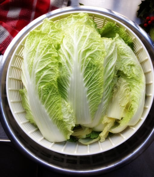 kimchi cabbage