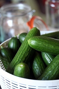 uncooked cucumbers