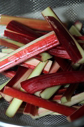 rhubarb slices