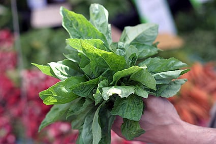 handfulbasil