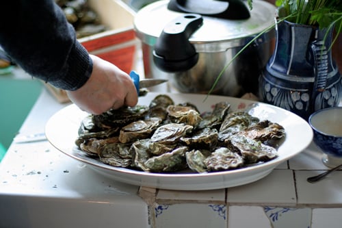 opening oysters