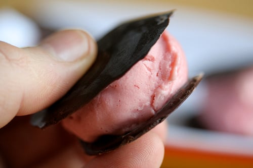 raspberry ice cream sandwich