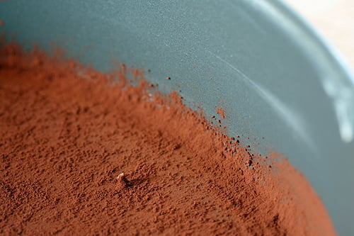 cocoa in pan