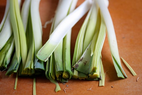 dirty leeks