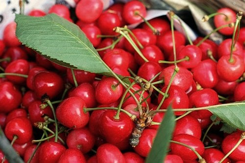 cherries galore