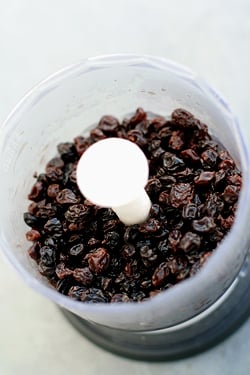 raisins in processor