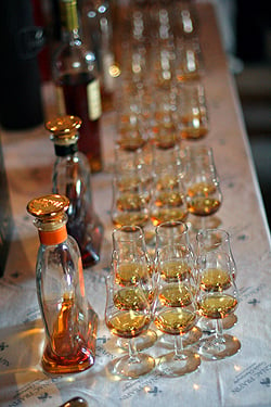 Cognac tasting