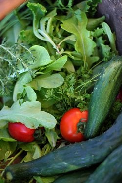 Salad Spinners Best Rated, Salad Spinner Is Very Easy To Use& Drain Lettuce  Easily For Crisper Salads In Half The Time Bowl Goes From Prep To-5 Liters