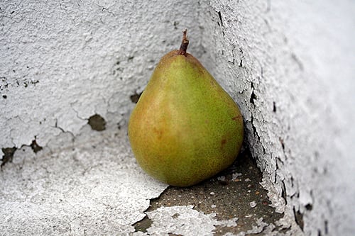comice pear