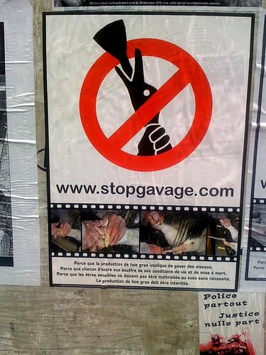 stop the gavage!