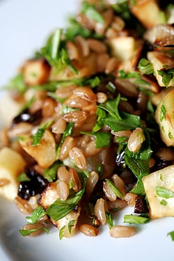 verticalwheatberry salad