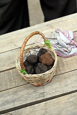 truffle basket at market