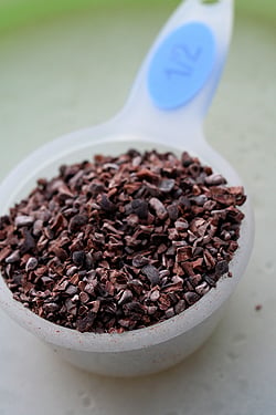 cocoa nibs blog