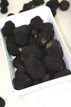 black truffles