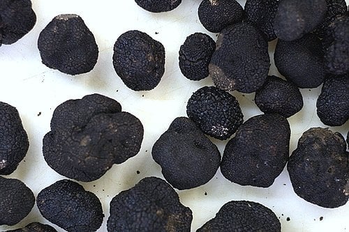 black, black truffles