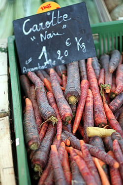 beautiful carrots