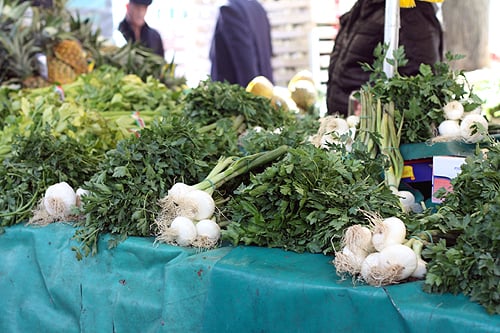 herbs and onions