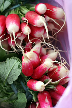 radishes