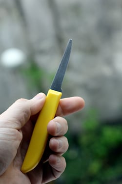 paring knife