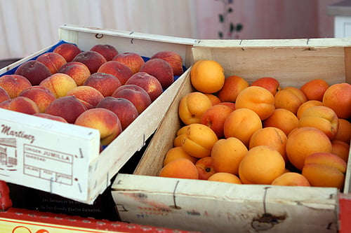 peaches and apricots