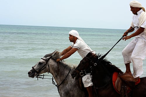 horseback riding in Djerba