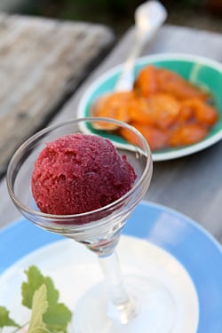 red wine sorbet