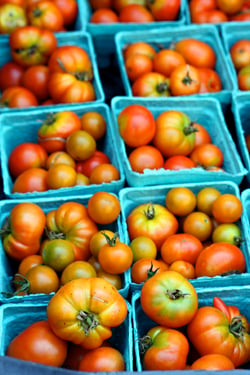 greenmarket tomatoes