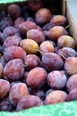 prune plums