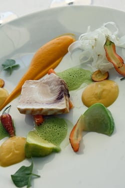 swordfish, carrot, squash